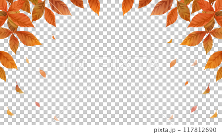 秋の葉フレーム　落ち葉　白背景　透過　16:9 117812690