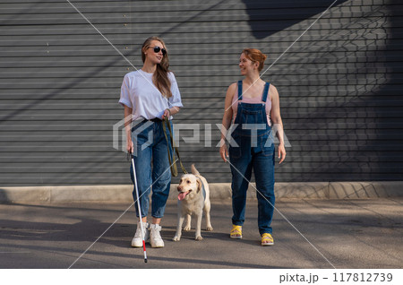 Blind caucasian woman walking with guide dog and pregnant girlfriend.  117812739