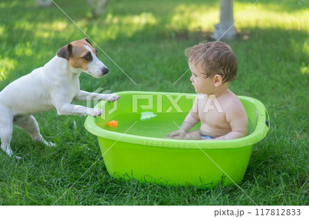 Cute boy bathes in a basin with a Jack Russell terrier dog outdoors in the summer. Cute boy bathes in a basin with a Jack Russell terrier dog outdoors in the summer. 117812833