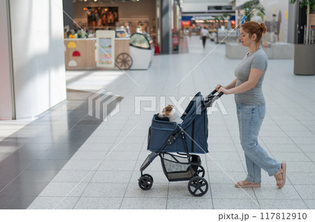 A Caucasian woman is shopping with her Jack Russell Terrier dog in a stroller in a shopping mall.  117812910
