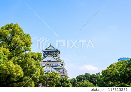 緑に囲まれた大阪城天守閣 117813281
