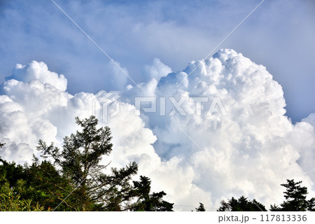 夏の青空と白い入道雲 117813336