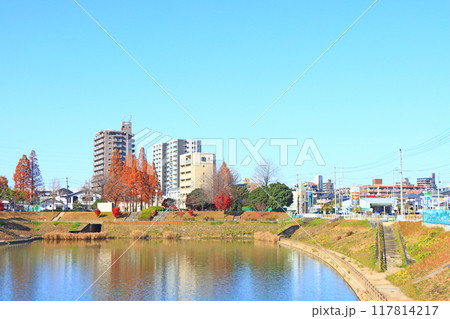 愛知県名古屋市、徳重駅前要池公園の風景 117814217
