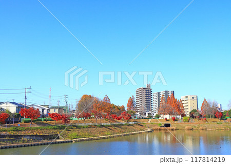 愛知県名古屋市、徳重駅前要池公園の風景 愛知県名古屋市、徳重駅前要池公園の風景 117814219