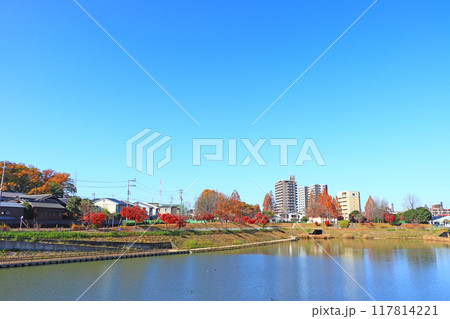 愛知県名古屋市、徳重駅前要池公園の風景 愛知県名古屋市、徳重駅前要池公園の風景 117814221