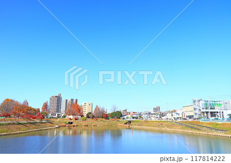 愛知県名古屋市、徳重駅前要池公園の風景 愛知県名古屋市、徳重駅前要池公園の風景 117814222