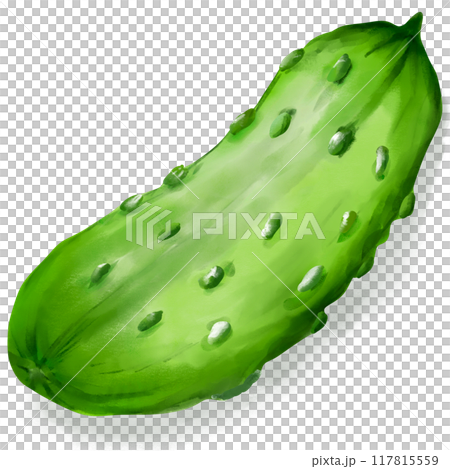 reen cucumber so fresh in garden reen cucumber so fresh in garden 117815559