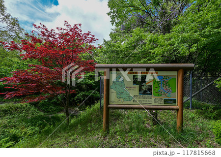 【九州･熊本】山吹水源。阿蘇山の麓にある原生林に囲まれた、透明度がとても高い神秘的な美しい水源でした 117815668