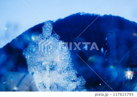 箱根の美しいイルミネーション 117815793