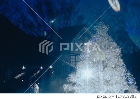 箱根のクリスマスのイルミネーション 117815885