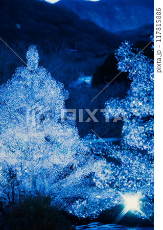 箱根のクリスマスのイルミネーション 117815886