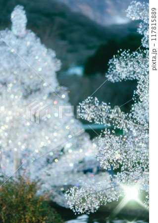 箱根のクリスマスのイルミネーション 117815889