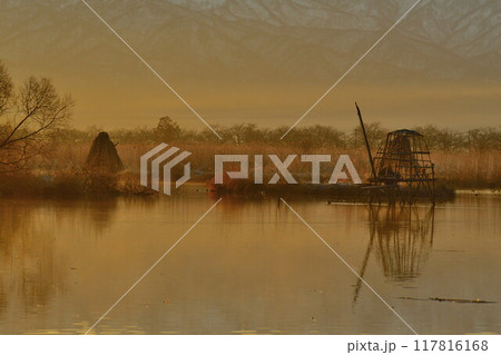 朝の福島潟（新潟県） 117816168