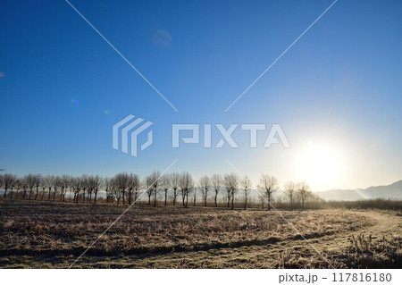 朝の福島潟（新潟県） 117816180