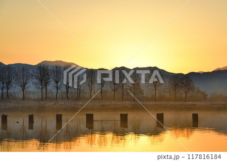 朝の福島潟（新潟県） 117816184