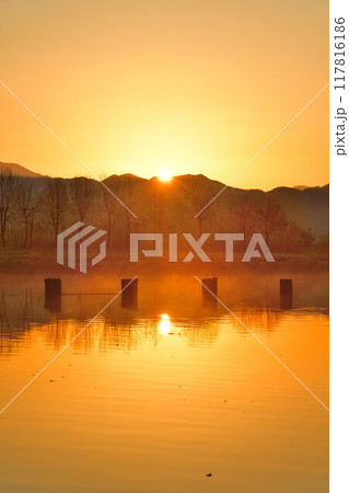 朝の福島潟（新潟県） 117816186