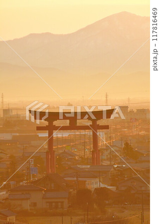 朝の弥彦大鳥居(新潟県) 朝の弥彦大鳥居(新潟県) 117816469