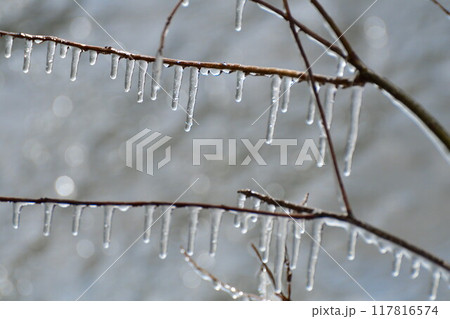 しぶき氷（福島県） 117816574