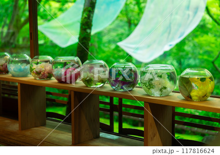 京都の嵐山祐斎亭の庭園 京都の嵐山祐斎亭の庭園 117816624