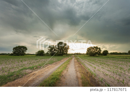 Dark storm clouds over dirt road and rural fields 117817071