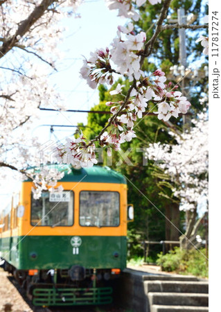 旧月潟駅と桜(新潟県) 旧月潟駅と桜(新潟県) 117817274