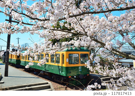 旧月潟駅と桜（新潟県） 117817413