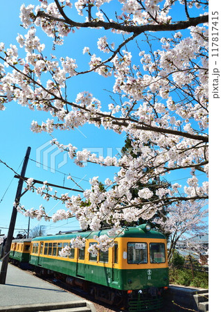 旧月潟駅と桜(新潟県) 旧月潟駅と桜(新潟県) 117817415