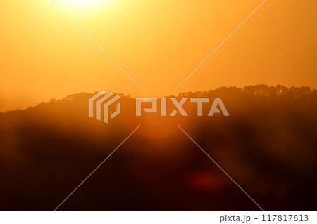 close up tree on mountain peak  sunset time. 117817813