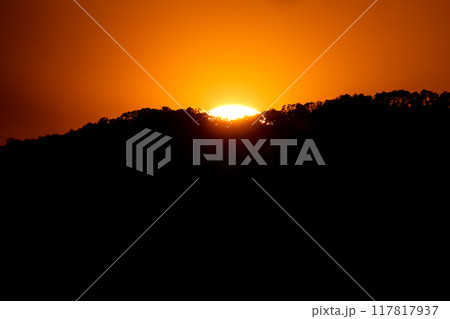 close up tree on mountain peak  sunset time. close up tree on mountain peak  sunset time. 117817937