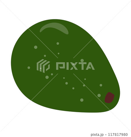 Avocado food icon. Avocado fruit whole and half isolated on white background. Summer tropical fruits for healthy lifestyle. Vector illustration 117817980