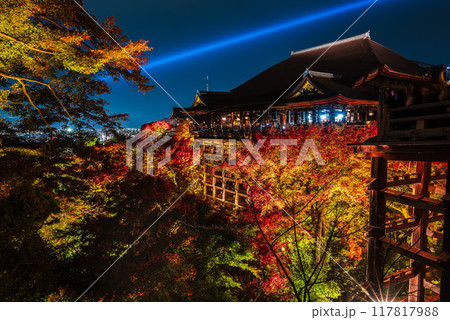 ライトアップされた秋の清水寺 ライトアップされた秋の清水寺 117817988