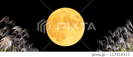 満月とススキが美しい秋の夜の風景。お月見の背景素材 117818313