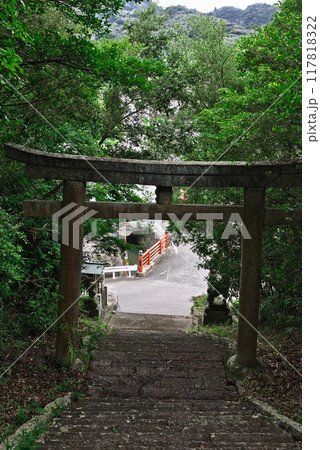 桜八幡神社の鳥居 117818322
