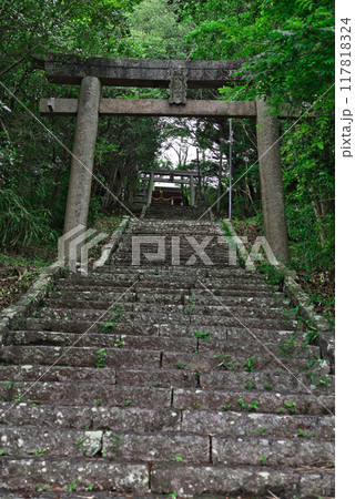 桜八幡神社の鳥居 117818324