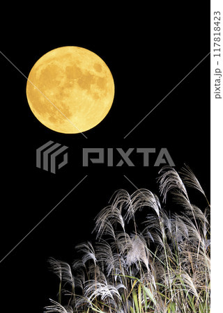 満月とススキの秋の夜空の風景 117818423