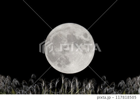 秋の夜の黒背景に白い満月とススキ 117818505