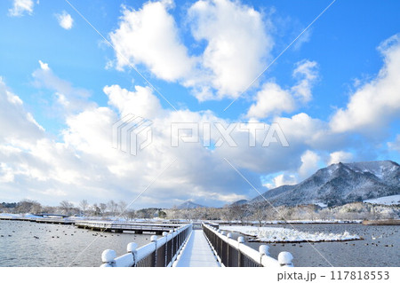 冬の上堰潟公園(新潟県) 冬の上堰潟公園(新潟県) 117818553