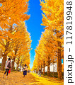 秋空と黄色く色づく銀杏並木1 117819948