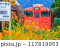 コスモスとローカル線 117819953
