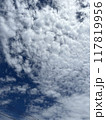 空と雲 117819956