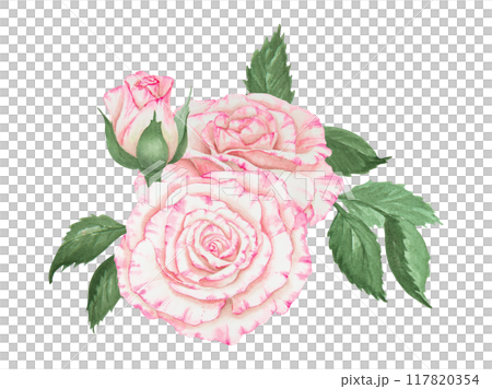 Light pink rose bouquet. Watercolor botanical illustration. Hand drawn clipart, cut out and isolated. Realistic flower drawing for delicate wedding prints, invitations, cards. Romantic design element. 117820354