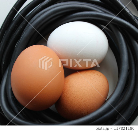 Three chicken eggs inside a circle of coiled black electrical cables. Artificial heating concept stock photo Three chicken eggs inside a circle of coiled black electrical cables. Artificial heating concept stock photo 117821180