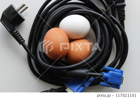 Ring Of Power And Computer Cables And Three Eggs Inside It. Concept Stock Photo For Energy Breakfast Illustration Ring Of Power And Computer Cables And Three Eggs Inside It. Concept Stock Photo For Energy Breakfast Illustration 117821181