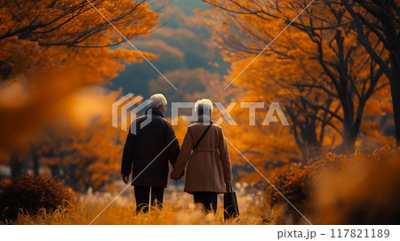 Elderly couple enjoying autumn scenery 117821189