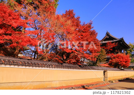 清凉寺（京都市右京区）仁王門周辺の紅葉 117821302