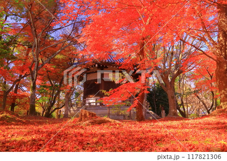 清凉寺(京都市右京区)聖徳太子殿前庭の紅葉 清凉寺(京都市右京区)聖徳太子殿前庭の紅葉 117821306