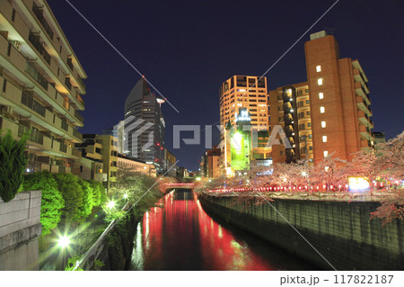 目黒川桜まつり 夕景 117822187
