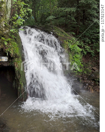 藤壺の滝　矢ノ森八景 117823147