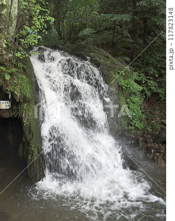藤壺の滝　矢ノ森八景 117823148