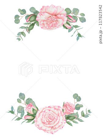 Light pink rose and eucalyptus. Watercolor botanical illustration. Hand drawn clipart, cut out and isolated. Realistic flower round frame for banner template with copy space for text in wedding prints 117823542